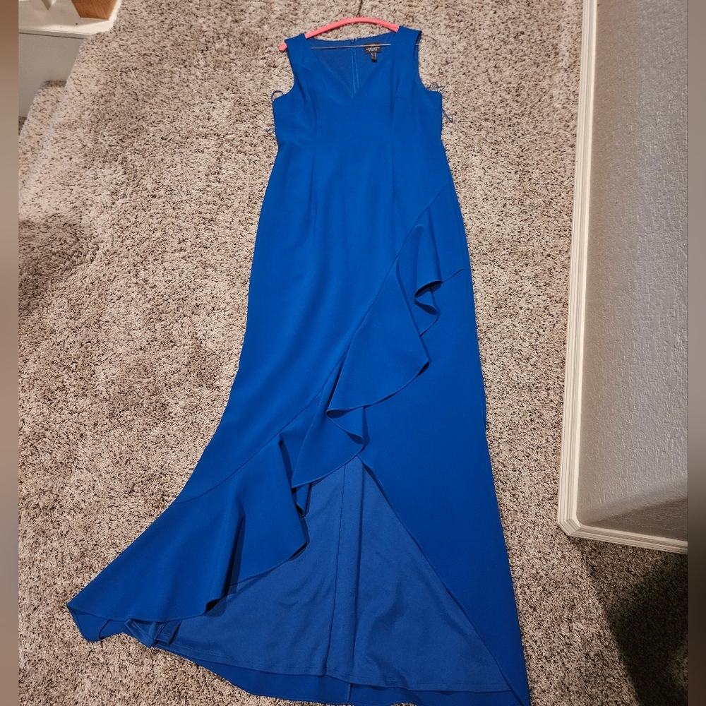 ADRIANNA PAPELL LONG DRESS